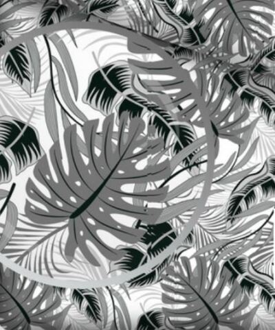 Monstera Szaro Czarna