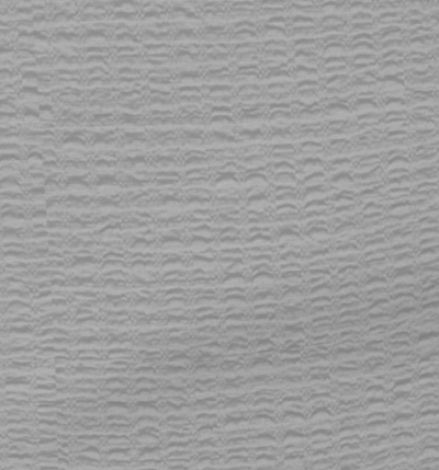 Kora liście monstera czarne