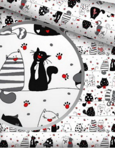 Zwariowane koty białe